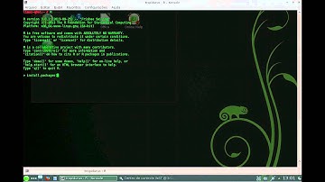 Installing R packages (Instalando Pacotes no R)