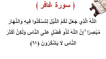 سورة غافر الأية 61