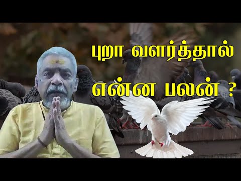 அதிர்ஷ்டம் தரும் பரிகாரங்கள் | லால்குடி கோபாலகிருஷ்ணன்