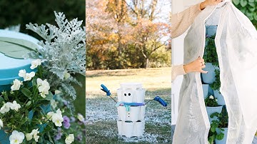 Know Your Growing Zone: Seasonal Planting Tips