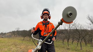 Stihl Fs 560 CEM with circular saw blade carbide cutting young trees. (motocoasa cu disc circular.)