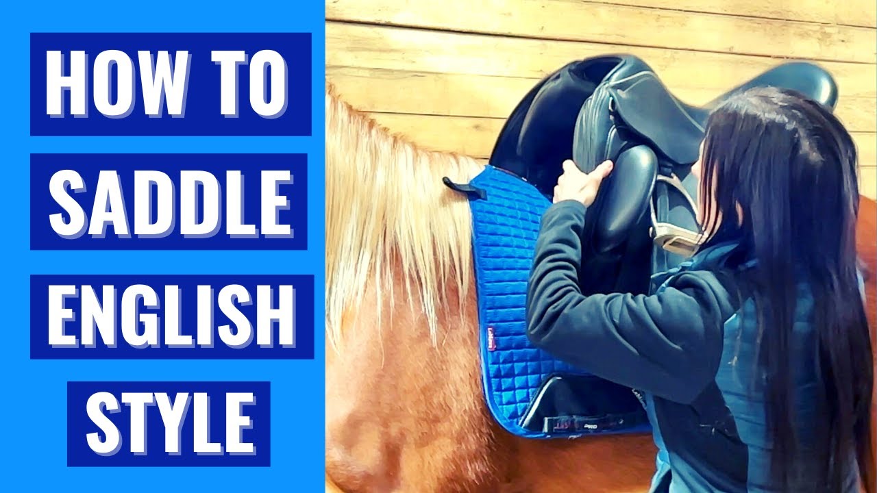 How To Saddle A Horse Correctly And Safely English Style YouTube how-to-saddle-a-horse-correctly-and-safely-english-style-youtube