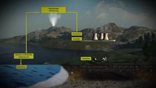 Meb Ekosistemde Karbon Döngüsü