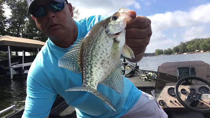 High Rock Lake, NC. -  Crappie and Bass Fishing with a Fat Surprise at the end of the day.