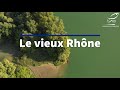 Le vieux rhne