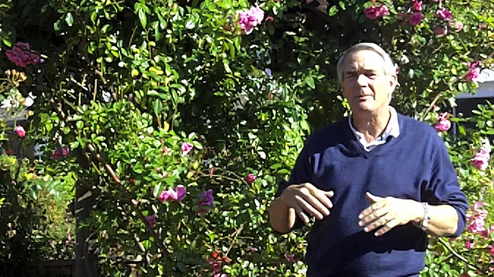 Armitage's Greatest Plants