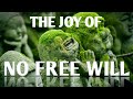 The joy of no free will  |  Dr. James Cooke