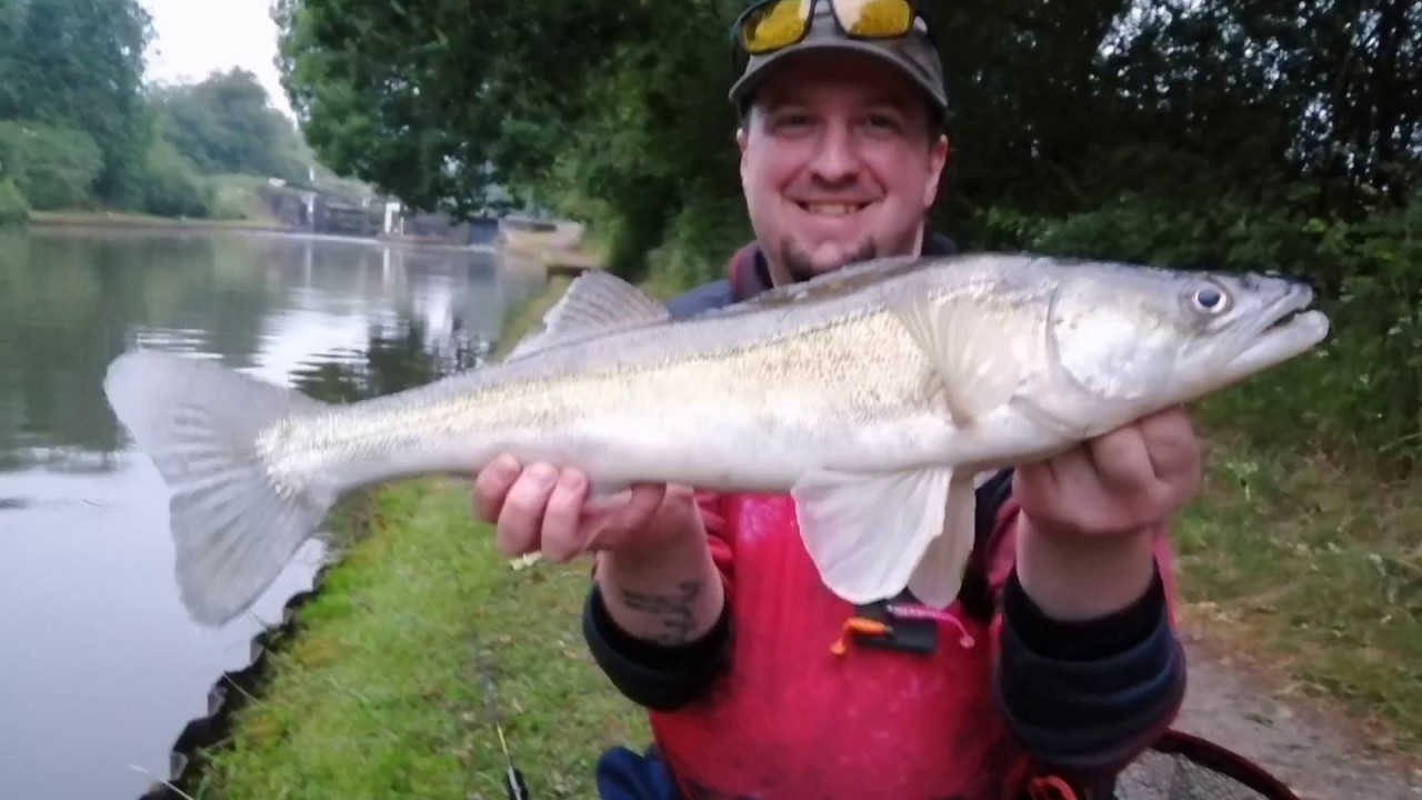 My latest canal zander lure /jig fishing trip in pictures. Enjoy
