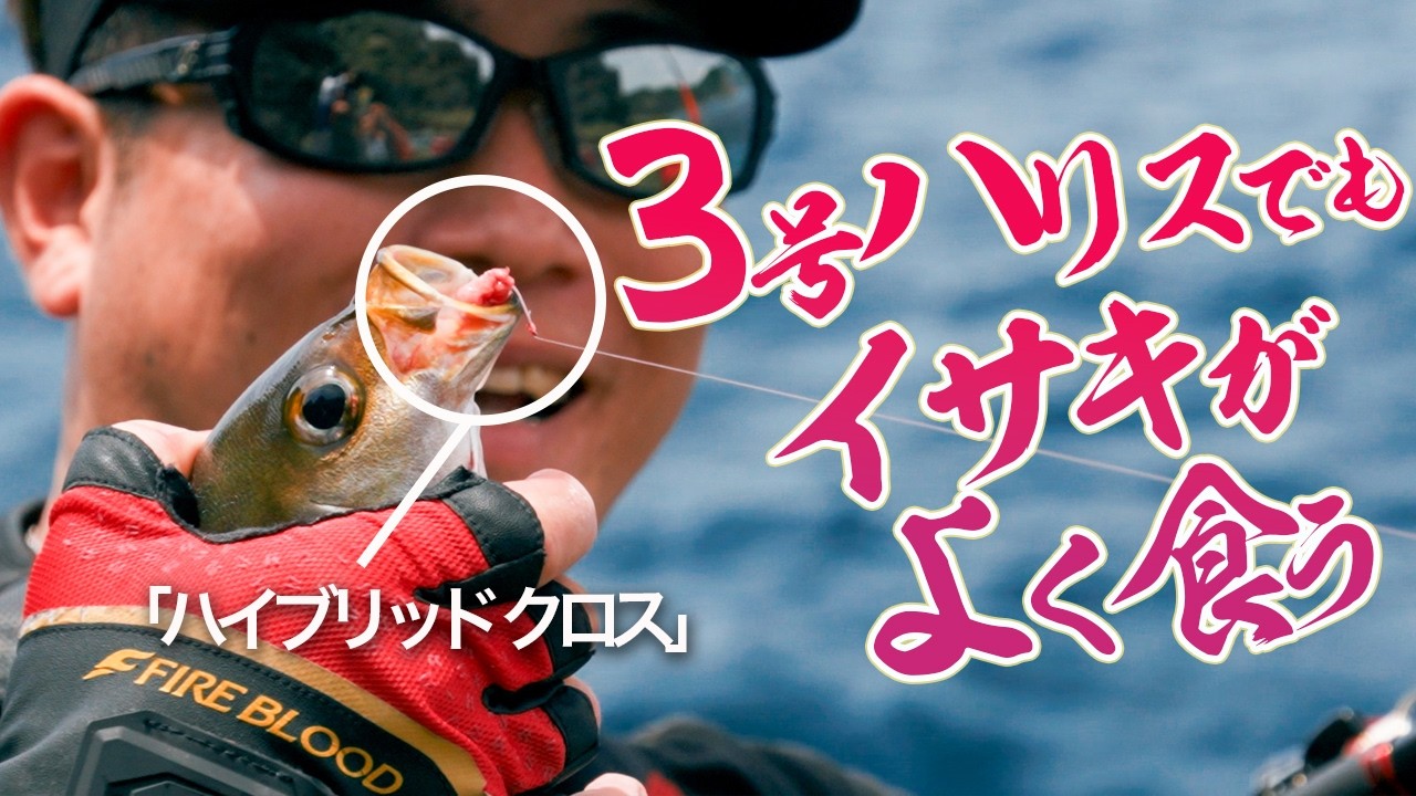 Target the 60cm Longtail Snapper! #2] In Fukashima, Oita