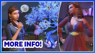 1000+ JEWELERY VARIATIONS?! Lunar Cycle Integration, Dev Stream & More!