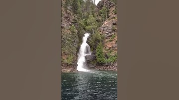 سورة الماعون القارئ الشيخ محمد الفقيه