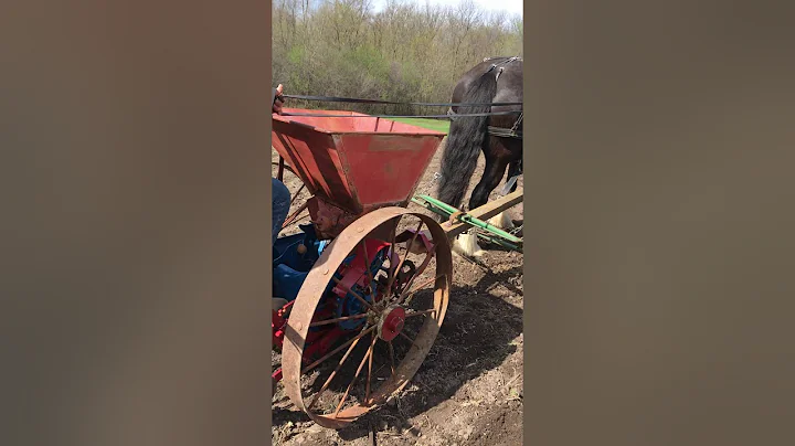 Potato Planter 1st run