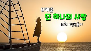 단 하나의 사랑 // 유해준