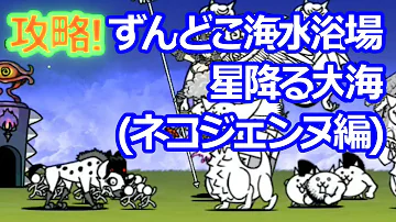 星 降る 大海 にゃんこ