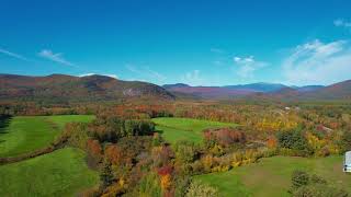 Drone Fall Landscape Original