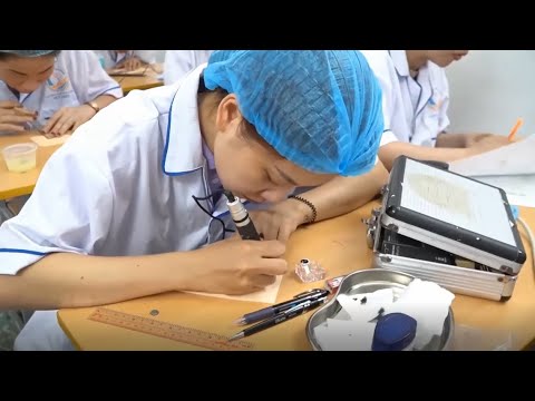 Tổng quan Chi phí, Tuyển sinh và Top các trường Liên thông  Văn bằng 2 Cao đẳng Dược sĩ tại Long An