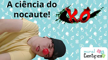 O que acontece com o corpo durante um nocaute?