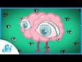 Understanding the Brain: Beyond the Skull