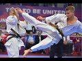 Kyokushin karate world championship-2017. Final. Ivan Tumashev - Dmitry Moiseyev.