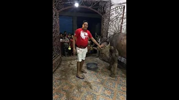 حمو بيكا قبل بداية المهرجان و ف النهايه شخرة 