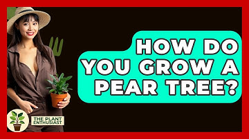 How Do You Grow A Pear Tree? - The Plant Enthusiast