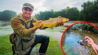 Pêcher les plus Gros Poissons de la Rivière au Leurre !