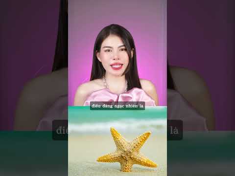 Những khả năng