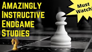 Amazingly Instructive Chess Endgame Studies/Problems | Chess Problems Every Player Should Know screenshot 2
