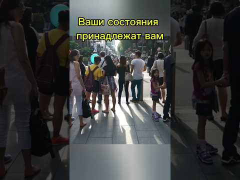 Сборка своей целостности: