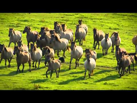 Imany -  Grey Monday Anton Bozhinov Remix