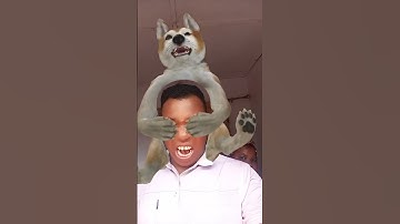 #cat #funny #cute #cutecat #ropenga_vfx #comedy #memes #animals