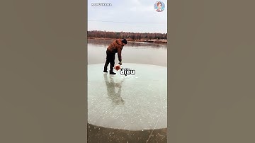 Nó Dày Tới Mức Nào Vậy🤯