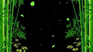 Falling Leaves / Template Video Background / Tree Leaves Falling / Background Video Effects hd