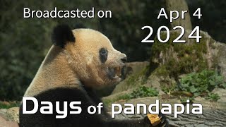 20240404 Broadcast Top Highlights 02 by pandapia HD 312 views 13 days ago 2 minutes, 29 seconds