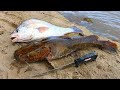 Catch n' Cook Flathead Catfish & Drum | Ace Videos
