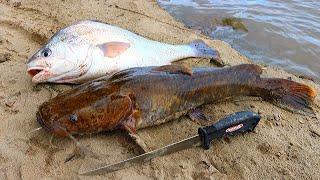 Catch n' Cook Flathead Catfish & Drum | Ace Videos