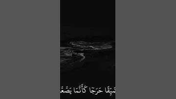 تلاوة - ماهر المعيقلي ﴿ فَمَن يُرِدِ اللَّهُ أَن يَهْدِيَهُ يَشْرَحْ صَدْرَهُ لِلْإِسْلَامِ ﴾