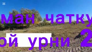 картинка: Урганч туман чаткупирда 600м2 30×20. Жой урни 240млн   959738181
