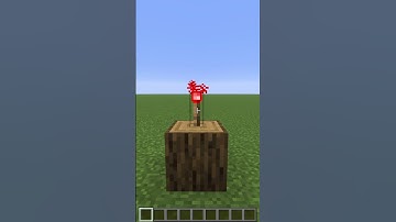 How to Activate a minecraft Redstone torch #minecraft #gaming #memes