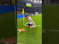 Ronaldo goal celebration vs cat 😺🐐