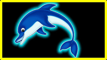 13 Dolphin Sound Variations