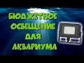 Бюджетное освещение для травника