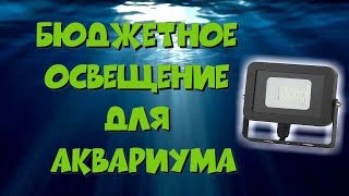 Бюджетное освещение для травника