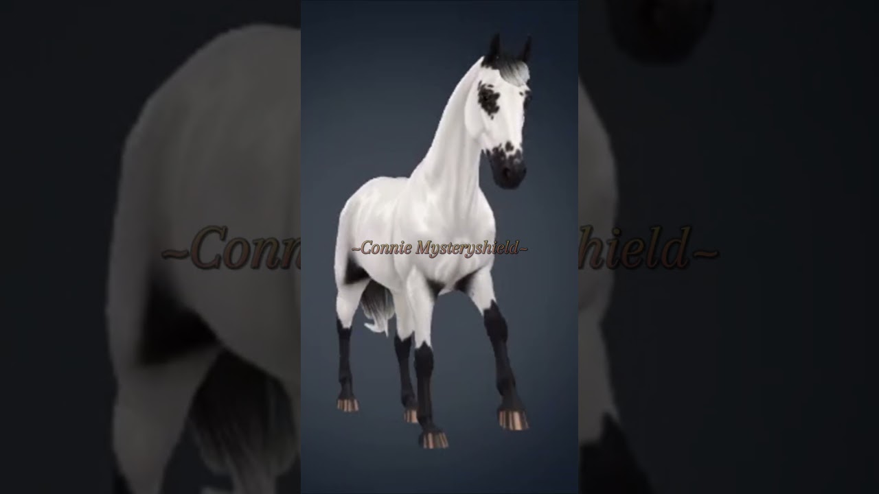 New coat colors || #2 || selle fransias  