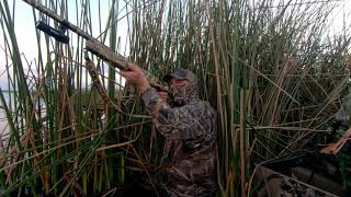 Duck Hunting South Florida Style!