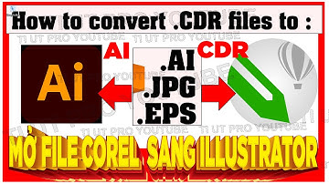 Chuyển File CorelDRAW Sang Adobe Illustrator | AI → CDR Transfer Files #Tip