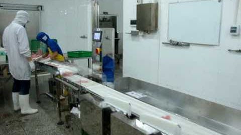 weight grading machine