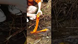 DIY Cleaning Socks with Flowing Water.