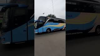blue star bus ll bus mini #bismania #busmania #bus #bussid #truck #shorts #shortbus