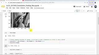 Deep Learning 51: CNN_3 - Convolution, Max-Pooling and RELU operations in Tensor Flow